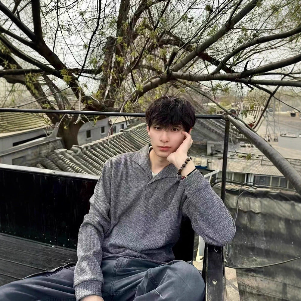 Textured Gray Long Sleeve Polo Shirt Men's Autumn Style Old Money Look Cat's Eye Stone Regular Shoulder T-Shirt