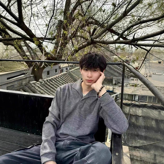 Textured Gray Long Sleeve Polo Shirt Men's Autumn Style Old Money Look Cat's Eye Stone Regular Shoulder T-Shirt