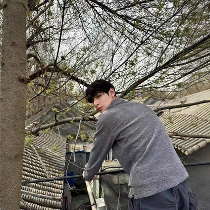 Textured Gray Long Sleeve Polo Shirt Men's Autumn Style Old Money Look Cat's Eye Stone Regular Shoulder T-Shirt